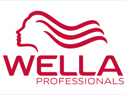 Redesign der Marke Wella