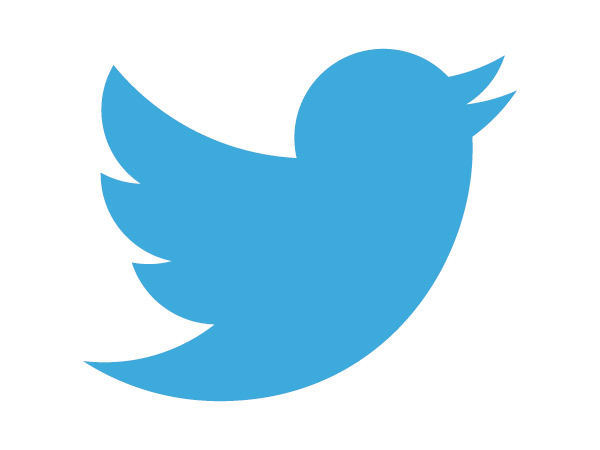Twitter New Bird