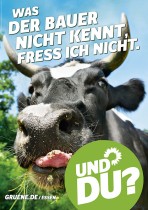 Bündnis90/Die Grünen Wahlplakat 2013