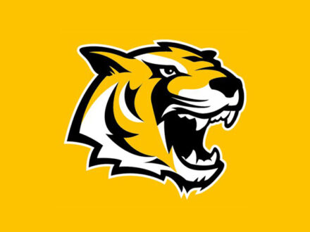 Neues Logo für WALTER Tigers Tübingen
