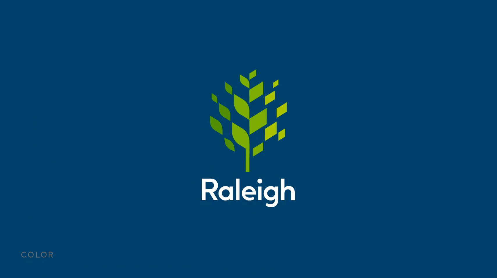Raleigh Logo Color