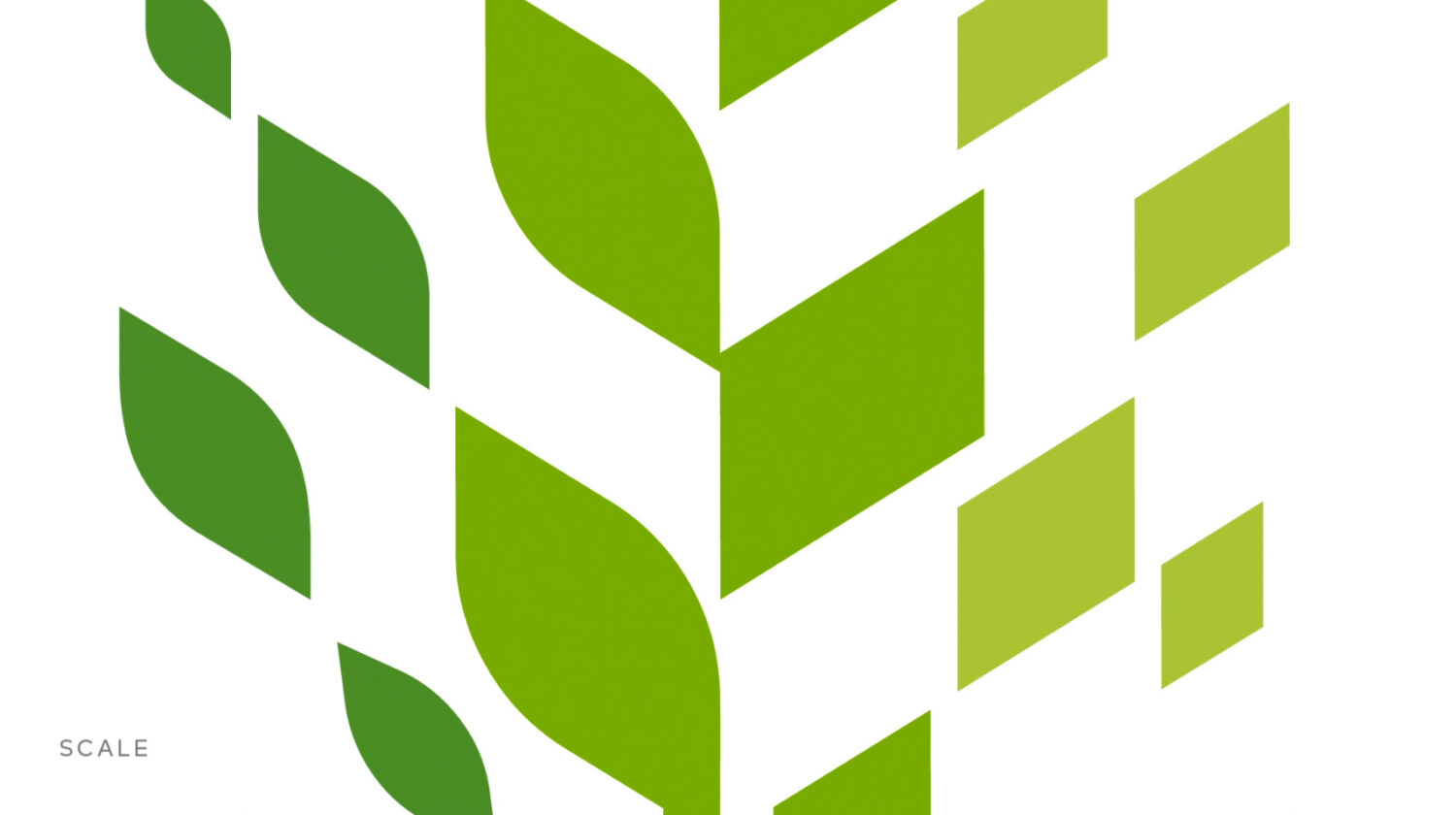 Raleigh Logo Design
