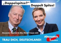 Bundestagswahl 2017 Plakat AfD, Doppelspitze