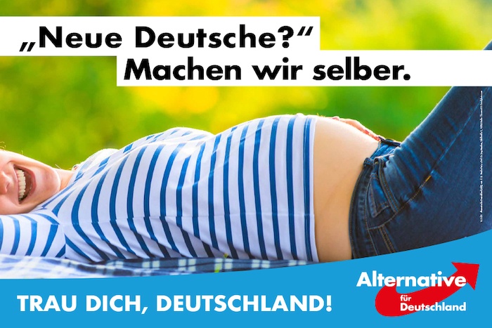 Bundestagswahl 2017 Plakat AfD, Neue Deutsche