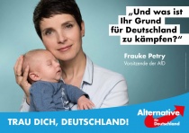 Bundestagswahl 2017 Plakat AfD, Petry