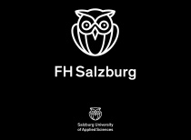 FH Salzburg Logo schwarz