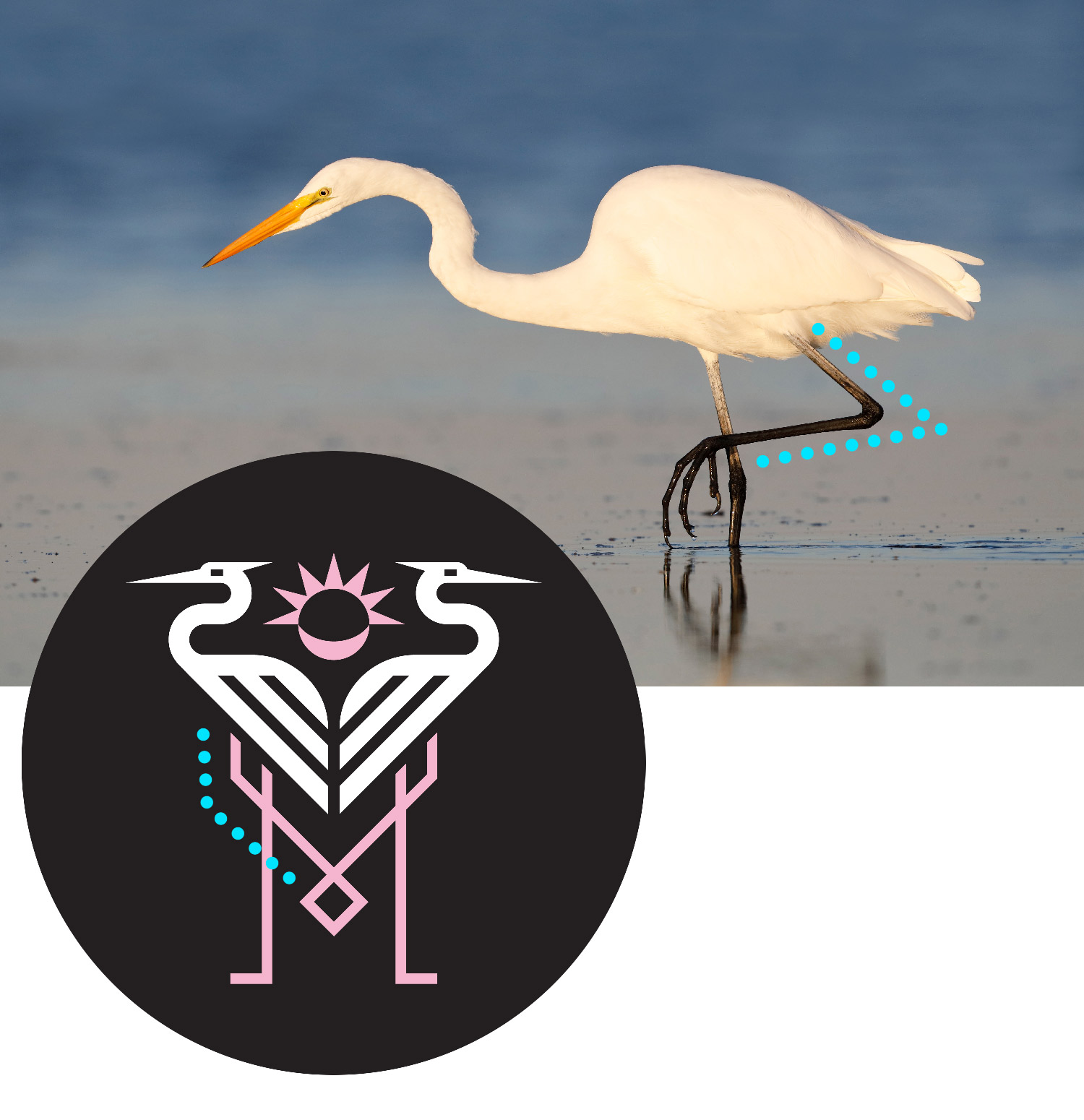 Logo Inter Miami – Silberreiher