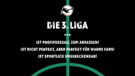3. Liga Leitsätze, Quelle: DFB