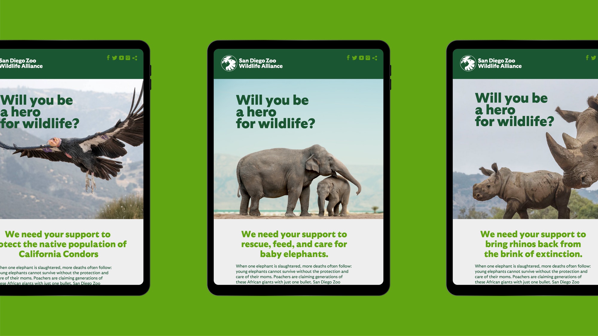 San Diego Zoo Branding – Digital Media