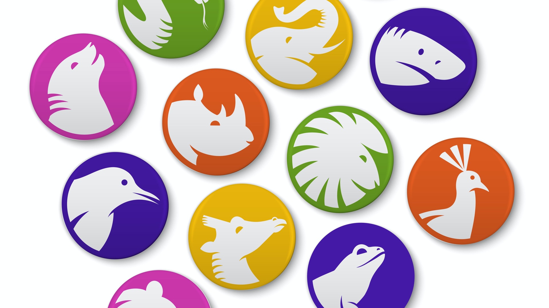 San Diego Zoo Branding – Buttons