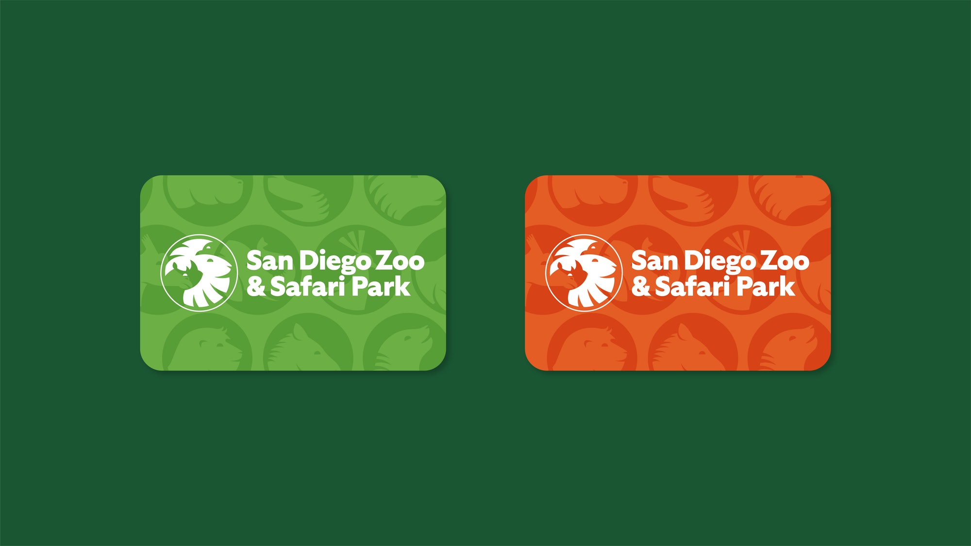 San Diego Zoo Branding – Card
