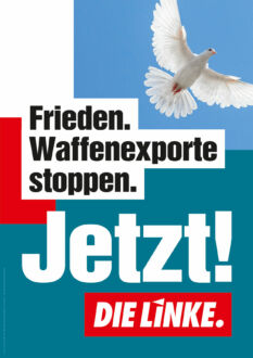 DIE LINKE Plakat Bundestagswahl 2021 – Frieden