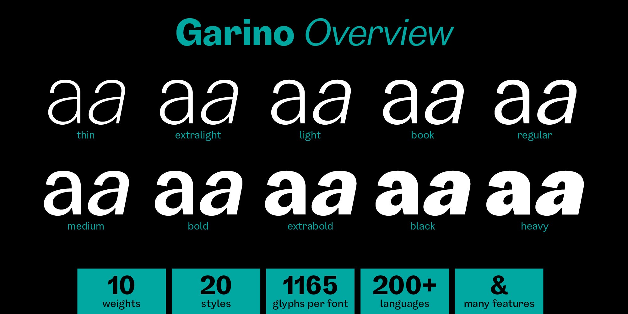 GARINO Overview