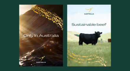 Australia Nation Brand – Visual